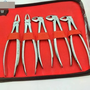 Pinzas de Extracción Dental para Adultos de Alta Calidad, Instrumentos de Extracción de Dientes de Acero Inoxidable, Java Surgical - Product Image 2