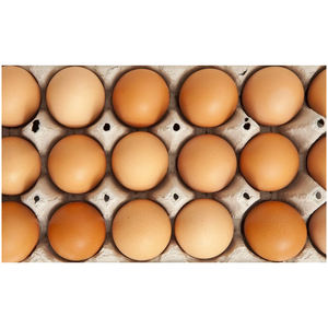 ไข่ไก่สดสีน้ำตาลคุณภาพดี ไข่ไก่สดสีน้ำตาลจากฟาร์ม ไข่ไก่สดสีน้ำตาล - Product Image 4