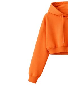Ensemble décontracté deux pièces pour femme : crop top à capuche et short, en molleton de coton, couleur orange, style minimaliste, pour la détente, vente en gros, fabricant - Product Image 3