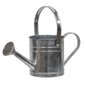 Regadera de Acero Galvanizado de Diseño Vintage con 2 Asas, Regadera de Metal Resistente para Plantas de Interior y Exterior - Product Image 1