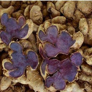 Extracto de Kaempferia Parviflora en Polvo, 15% DMF, Cultivo Silvestre, Marca KMP, Tailandia, Venta al Por Mayor - Product Image 3