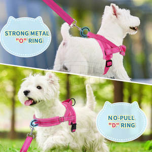 Harnais pour animaux de compagnie avec logo personnalisé, en nylon durable avec boucle robuste et bande réfléchissante pour les promenades quotidiennes - Product Image 4