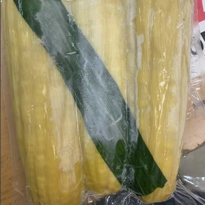 ข้าวโพดหวานต้มแช่แข็งออร์แกนิก IQF พร้อมรับประทาน สะดวกสำหรับทำสลัด ซุป ผัด ข้าวผัดเนย บรรจุภัณฑ์สุญญากาศ 1 กก. เวียดเดลต้า - Product Image 1