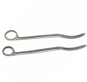 Palanca de hueso de Material superior, producto quirúrgico recién llegado, Impresión de logotipo personalizado, palanca de hueso hecha a mano por VIDIFIVE INTERNATIONAL - Product Image 3