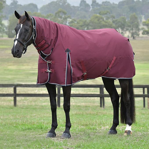 Couverture de cheval de qualité supérieure, en coton épais et imperméable, équipement équestre - Product Image 5
