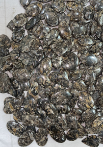 LOT EN GROS DE 5 KG UNIQUEMENT À 755 $ - CABOCHONS DE FOSILES DE TURRITELLA, PIERRES PRÉCIEUSES SÉLÉQUIES, TAILLES ET FORMES ASSORTIES, LIVRAISON GRATUITE - Product Image 5