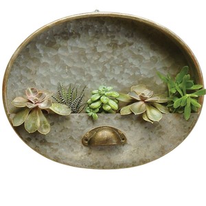 Macetas de Pared de Metal Galvanizado de Diseño Atractivo para Jardinería, Macetas Semicirculares de Acero para Decoración Rústica de Interiores y Exteriores - Product Image 6