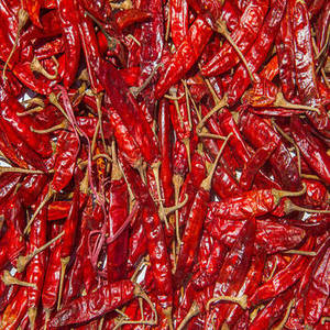 Piment rouge entier séché de qualité export FitTree International, provenant du Gujarat, Inde, pour les acheteurs de l'industrie alimentaire internationale - Product Image 4
