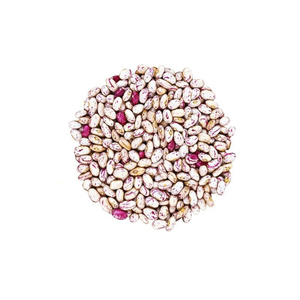 Frijoles Pinto, Frijoles Pulpeados, Frijoles Rinón Pintados - Product Image 2