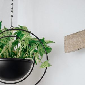 Moon Shaped Hanging Plant Holder with 8 Inch Detachable <b>Pot</b>, Black Metal Plant Hanger for Indoor Outdoor, Minimalist Hanging Pla - Product Image 3