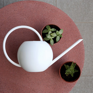 Arrosoir moderne <span class=keywords><strong>en</strong></span> acier inoxydable avec poignée <span class=keywords><strong>en</strong></span> bois, bec long, pour plantes d'intérieur, arrosoir de <span class=keywords><strong>jardin</strong></span> minimaliste nordique - Product Image 1