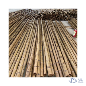 [EL MÁS VENDIDO] Caña de Bambú Tonkin de Alta Resistencia para Construcción, Cercas y Soporte de Estructuras Creativas, Personalizable, Blue Lotus Farm - Product Image 1
