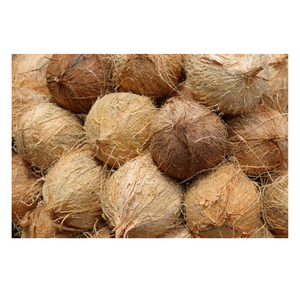 Dried <b>Coconut</b> Best Brand Quality Cheap Price for Export Low MOQ Semi Husked <b>Coconut</b> Agriculture Tropical - Product Image 3