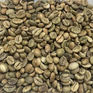 Grains de café vert non torréfiés du Vietnam, qualité AA Plus, sacs de 60 kg, pureté de 95 à 99 %, haute qualité - Product Image 5