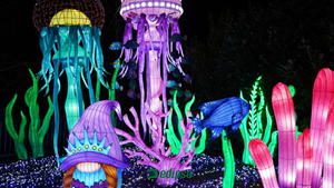 장식 조명 공급 업체 사용자 정의 다채로운 비바람에 견디는 휴일 조명 장식 축제 이벤트 조명 랜턴 - Product Image 4