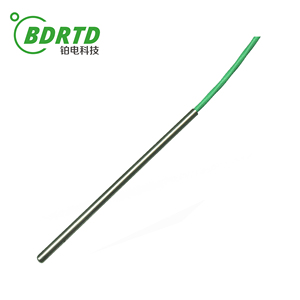 Cảm biến nhiệt độ đầu dò 304ss 316ss RTD PT100 pt1000 - Product Image 3