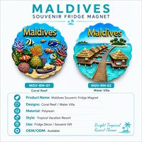 Aimant de réfrigérateur personnalisé en résine 3D Maldives, aimant de réfrigérateur tropical, villa aquatique, complexe hôtelier, vie marine, corail, poisson, souvenirs