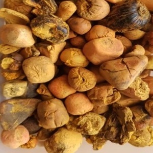 Cálculos Biliares de Buey Secos, Extracto Animal Premium - Product Image 1