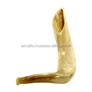 Shofar en corne de bœuf poli en gros - Artisanat de haute qualité, objet d'art et de collection, fabricant de shofars naturels (A Z CRAFTS) - Product Image 4