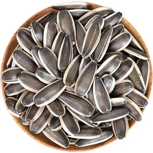 Graines <span class=keywords><strong>de</strong></span> <span class=keywords><strong>tournesol</strong></span> brutes, en vrac, à coque fine, à noyau épais, torréfiées à basse température, sans additifs, non frites, noix <span class=keywords><strong>de</strong></span> remplacement <span class=keywords><strong>de</strong></span> repas. - Product Image 1