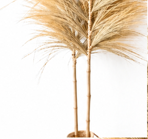 Hierba de Pampas Seca Natural Hecha a Mano, Ecológica, para Decoración de Bodas, Relleno de Jarrones, Estilo Bohemio Rústico - Product Image 3