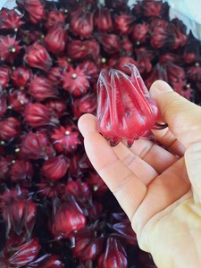 Flores Secas de Hibisco Sabdariffa / Capullos de Roselle / Atiso Rojo / Sorrel Rojo, Té Vietnamita, Precio de Mayoreo - Product Image 5
