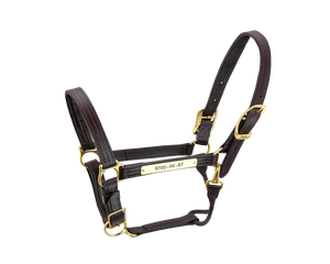 Cabestro de Cuero Negro Personalizable para Caballo con Herrajes de Acero Inoxidable/Latón, Logotipo Personalizado OEM, Proveedor de Equipo Ecuestre Duradero de Alta Calidad - Product Image 2