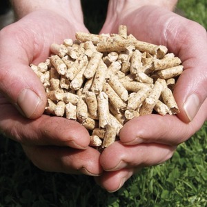 Biomasse durable : granulés de bois préparés à partir de résidus de bois naturels pour l'exportation en vrac, combustible pour le chauffage et les centrales électriques - Product Image 1