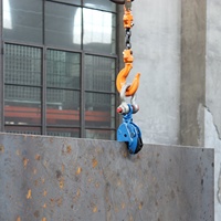 Pince de levage robuste pour plaques, pince verticale en acier forgé pour la construction et le levage