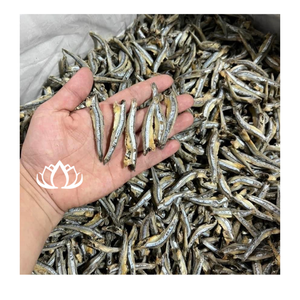 Anchois Séchés IQF de Haute Qualité en Vrac Écologiques – Meilleure Vente, Incontournable pour la Transformation Alimentaire, Soupe et Bouillon – Vente en Gros - Product Image 1