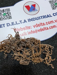 High Quality Seamoss Bulk 2026 Cheap Price Vietnam Export Supplier - Product Image 3
