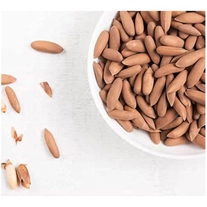 Pignons de pin de haute qualité, meilleurs prix, purée naturelle de pignons de pin en vrac (KG) ou toute quantité demandée, collations saines - Product Image 6