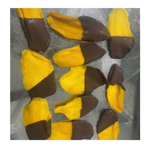Collation tropicale premium, mangue séchée enrobée de chocolat pour le marché international - Product Image 6