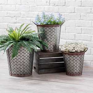 Maceta de Metal de hierro pintado con diseño de cubo antiguo, venta al por mayor, decoración de jardín para el hogar, macetas y macetas de bajo precio - Product Image 6