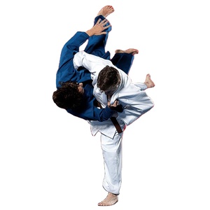 Fabricant Direct d'usine d'uniformes de Judo, uniformes d'arts martiaux de haute qualité avec des matériaux de haute qualité à bas prix - Product Image 1