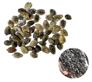 Precio de Fábrica, Ingrediente Alimenticio Saludable, Semillas de Maracuyá Secas Envasadas al Vacío - Product Image 1