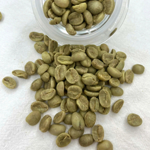 กาแฟอาราบิก้าคุณภาพพรีเมียมขายดี ราคาส่ง จำหน่ายเมล็ดกาแฟเขียวจำนวนมาก พร้อมจัดส่ง คุณภาพดีที่สุดสำหรับการส่งออก - Product Image 3