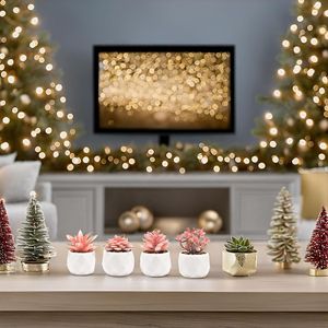 Piccole Piante Succulente Artificiali Rosa in Vaso di Ceramica Bianca, Decorazione per Interni, Giardino Femminile - Product Image 6