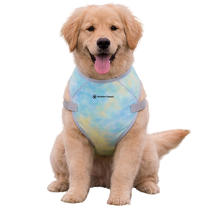 เสื้อกั๊กระบายความร้อนสำหรับสุนัข ทรอปิคอล สตอร์ม ด็อก น้ำหนักเบา ระบายอากาศได้ดี เหมาะสำหรับฤดูร้อน พร้อมสายรัดปรับได้ สำหรับสุนัขขนาดเล็ก กลาง และใหญ่ - Product Image 2