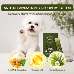 Suplemento Premium Todo en Uno para Articulaciones de Perros y Gatos en Polvo, MSM de Grado Humano, Cuidado de la Piel e Inmunidad, Antiinflamatorio, para Todas las Razas y Todas las Etapas de Vida - Product Image 5