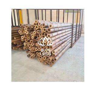 เสาไม้ไผ่คุณภาพสูงสำหรับการจัดตำแหน่งต้นไม้ที่มั่นคงและโครงสร้างแข็งแรง ผลิตภัณฑ์ไม้ไผ่บริสุทธิ์คุณภาพพรีเมียม - Product Image 1