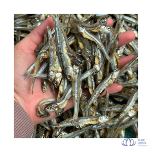 [MEJOR VENTA] |   Anchoas Secas a Granel de Alta Calidad (3-5cm, 6-9cm) para Restaurantes Asiáticos de Vietnam - Product Image 1