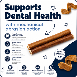 Venta al por mayor OEM ODM: Palitos de carne de res naturales para todas las razas de perros, 6 y 12 pulgadas, premiados para el cuidado dental y la salud ósea, suministro de golosinas para perros. - Product Image 4