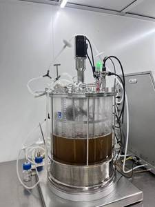 Biorreactor <span class=keywords><strong>de</strong></span> Vidrio <span class=keywords><strong>de</strong></span> 15L-2 Celdas para Fermentación <span class=keywords><strong>de</strong></span> Proteínas con Control Automático, Recipiente a Presión y Motor para Cultivos <span class=keywords><strong>de</strong></span> Suspensión Celular Vegetal - Product Image 2