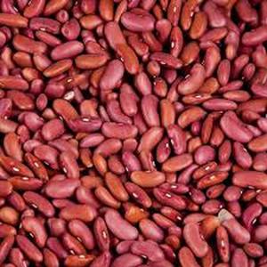 Frijoles Rojos Secos de Alta Calidad, Cuidadosamente Seleccionados para Suministro al por Mayor, con Empaques Seguros y Beneficios de Importación a Largo Plazo - Product Image 2