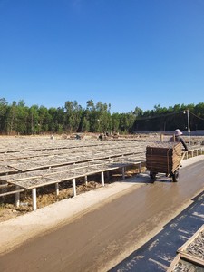 EN TENDENCIA AHORA: Anchoas Secas de Origen Ecológico, Conservadas con Sal, Esenciales para la Cocina Costera, Suministro Confiable para el Año 2026 - Product Image 2