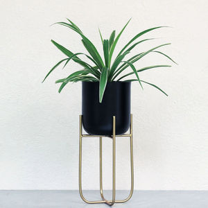 Jardinière Métallique avec Base Équilibrée en Fil Métallique Noir, Fournitures d'Usine, Jardinières en Métal, Pot en Fer Doré pour Fleurs, Nouvelle Arrivée - Product Image 5