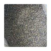 Topkwaliteit Papaya Zaden Goedkope Groothandelsprijs Natuurlijk Gedroogde Kruidenpeper Premium Fabriek Bulk Leverancier Nieuw