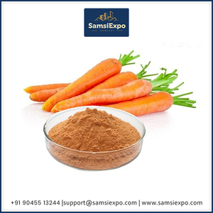<b>Best</b> Selling Food Grade Carrot Powder Premium Fine Powder for Commercial Food Applications - Product Image 6