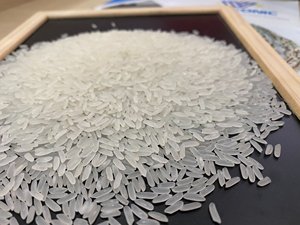 เครื่องเพิ่มขึ้น5กก. pape/ OPP กระเป๋าเวียดนามมีกลิ่นหอมแห้งดอกมะลิบาสมาติกเม็ดยาวสีขาวแบบเม็ดยาวสำหรับใช้ในอาหาร Anna DO ขนาด10กก. - Product Image 4